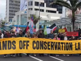 Protesters march down Auckland's Queen St