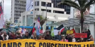 Protesters march down Auckland's Queen St
