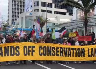 Protesters march down Auckland's Queen St