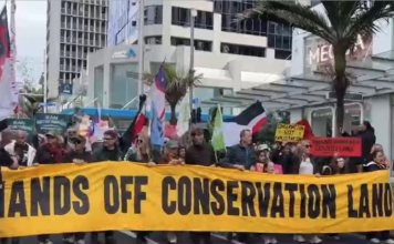 Protesters march down Auckland's Queen St