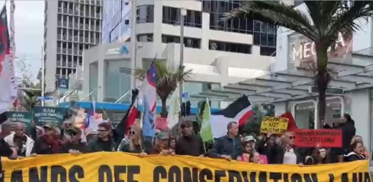 Protesters march down Auckland's Queen St