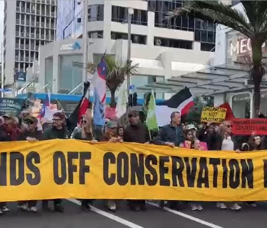 Protesters march down Auckland's Queen St