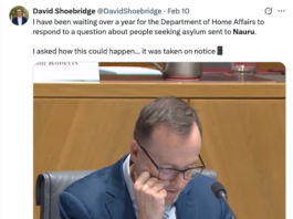 Australian Green Senator David Shoebridge seeking information from the Department of Home Affairs