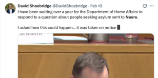 Australian Green Senator David Shoebridge seeking information from the Department of Home Affairs