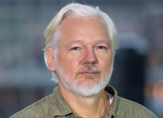 Caitlin Johnstone: Assange returns to public commentary . . . and other notes “Anything’s possible. Don’t give up hope.”