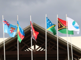 The MSG membership flags