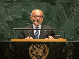 Solomon Islands Prime Minister Matthew Wale