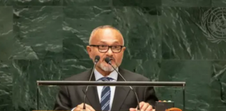 Pacific leaders urge Jakarta to allow UN rights visit to West Papua Solomon Islands Prime Minister Matthew Wale