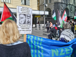 Pro-Palestine protesters at a rally in Auckland last weekend