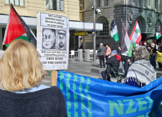 Pro-Palestine protesters at a rally in Auckland last weekend