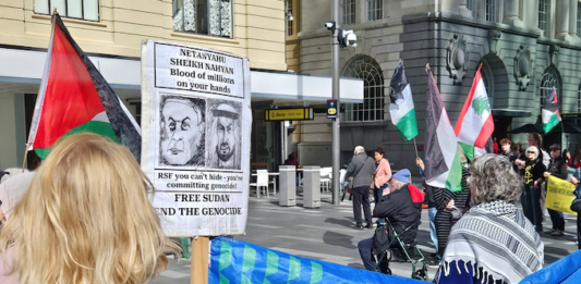 Pro-Palestine protesters at a rally in Auckland last weekend