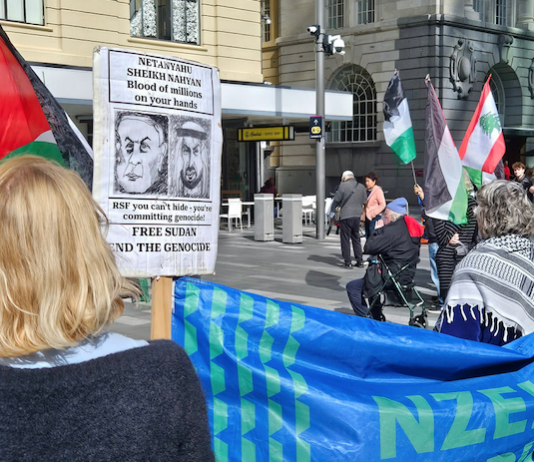 Pro-Palestine protesters at a rally in Auckland last weekend