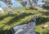 Vandalised Nikao Cemetery