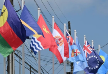 West Papua: The Pacific’s new test of Indonesia’s sovereignty narrative Pacific Islands Forum member country flags