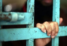 Palestinian media political prisoners
