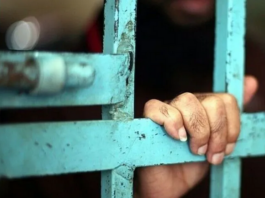 Palestinian media political prisoners