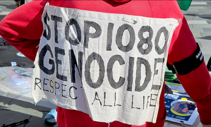 A "Stop Israel's genocide" slogan