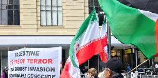 A pro-Palestine protest against Israeli genocide in Gaza and the illegal settlements in the West Bank in Auckland