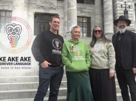 Green Party co-leader Marama Davidson . . . “Te reo Māori is a taonga."