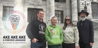 Green Party co-leader Marama Davidson . . . “Te reo Māori is a taonga."