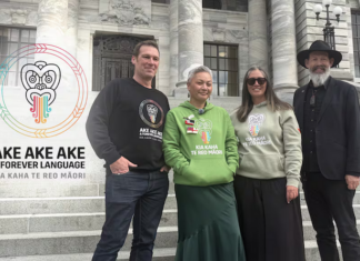 Green Party co-leader Marama Davidson . . . “Te reo Māori is a taonga."