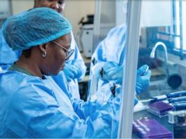 UNGA adopts the political declaration on pandemic prevention