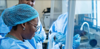 UNGA adopts the political declaration on pandemic prevention