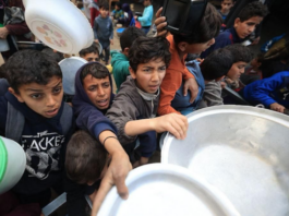Palestinians in Gaza face a daily struggle for food