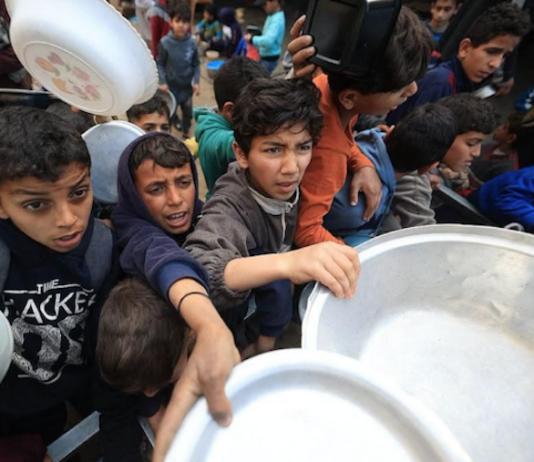 Palestinians in Gaza face a daily struggle for food