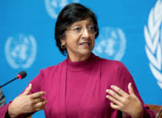 Nobel Peace Prize winner Navi Pillay praised, pilloried, ignored by Australia Nobel Peace Prize laureate Navi Pillay