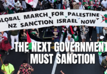 Part of a fullpage Palestine Solidarity Network Aotearoa (PSNA) advertisement in The New Zealand Herald