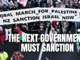 Part of a fullpage Palestine Solidarity Network Aotearoa (PSNA) advertisement in The New Zealand Herald