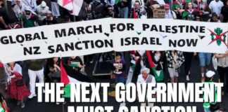 Part of a fullpage Palestine Solidarity Network Aotearoa (PSNA) advertisement in The New Zealand Herald