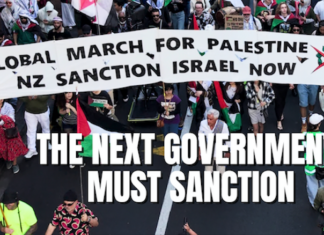 Part of a fullpage Palestine Solidarity Network Aotearoa (PSNA) advertisement in The New Zealand Herald