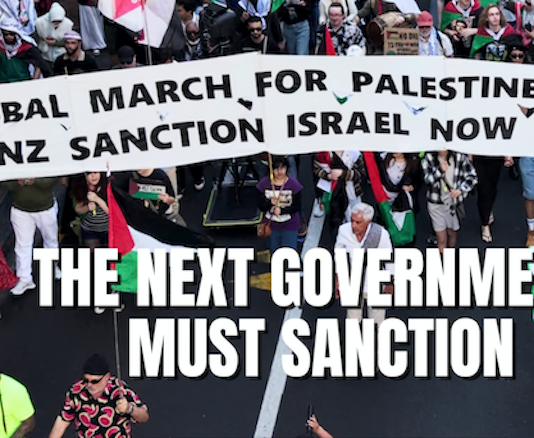 Part of a fullpage Palestine Solidarity Network Aotearoa (PSNA) advertisement in The New Zealand Herald