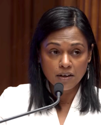 Labour's foreign policy spokesperson Vanushi Walters